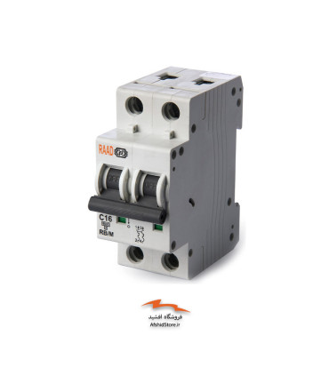 کلید مینیاتوری دو پل | 6 کیلو آمپر | تیپ C | جریان مستقیم-DC رعد الکتریک