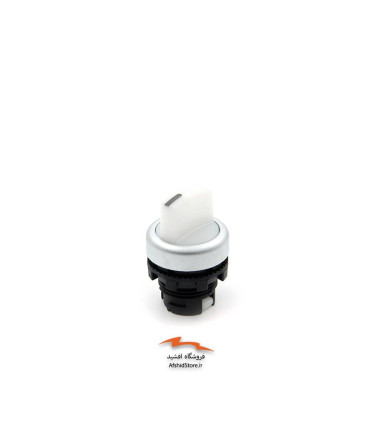 سری کلید فرمان یکطرفه استارتی چراغ دار مدل E2 1SL12ECD پیزاتو